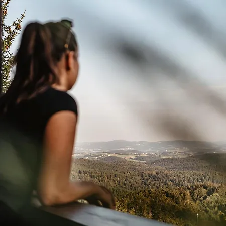 Weitblick Mit Suedbalkon *